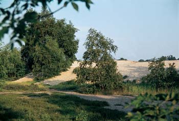BO-Duenen1